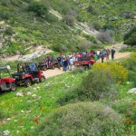 טרקטורוני דישון אטרקצייה בצפון