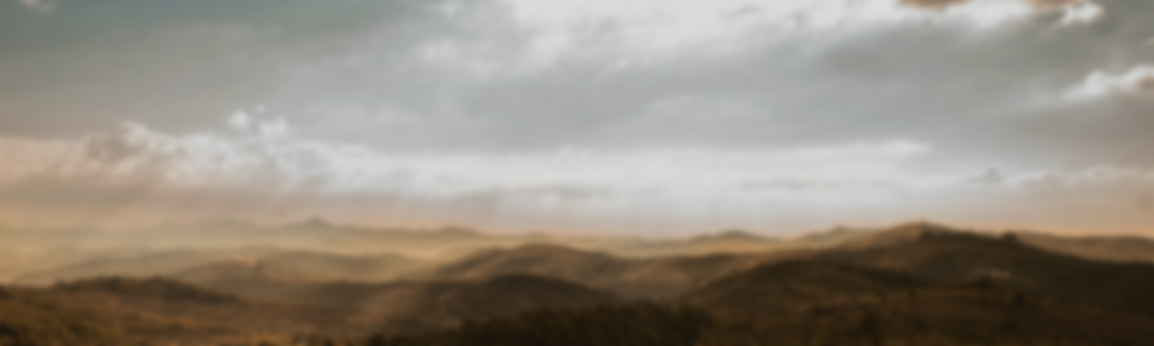 bg_track-copy1